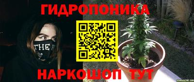 кристаллы Сланцы